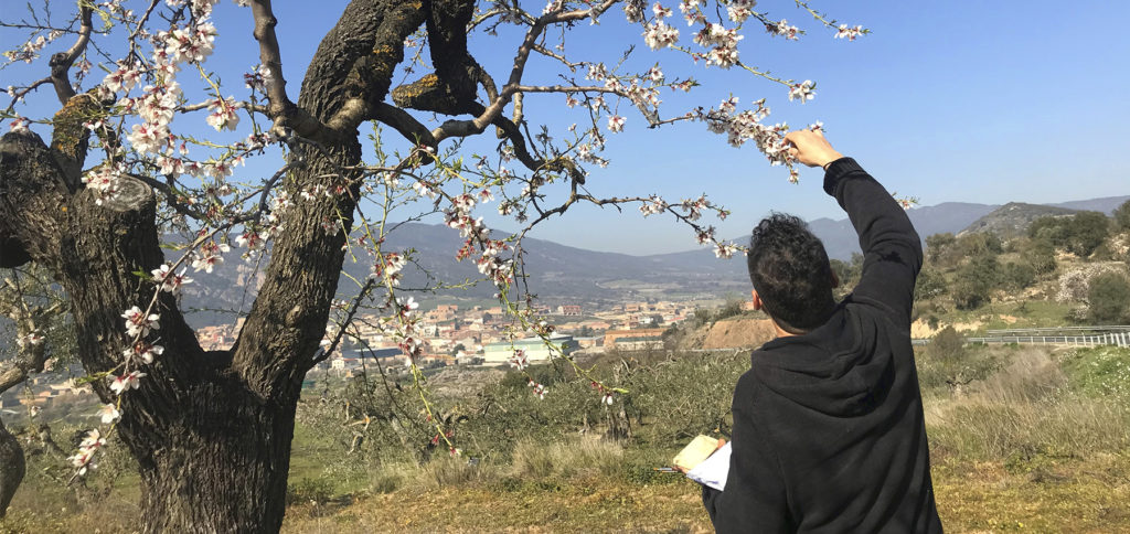Miquel Angel Herrero-Cortell és especialista en tècniques pictòriques artístiques plàstiques. 