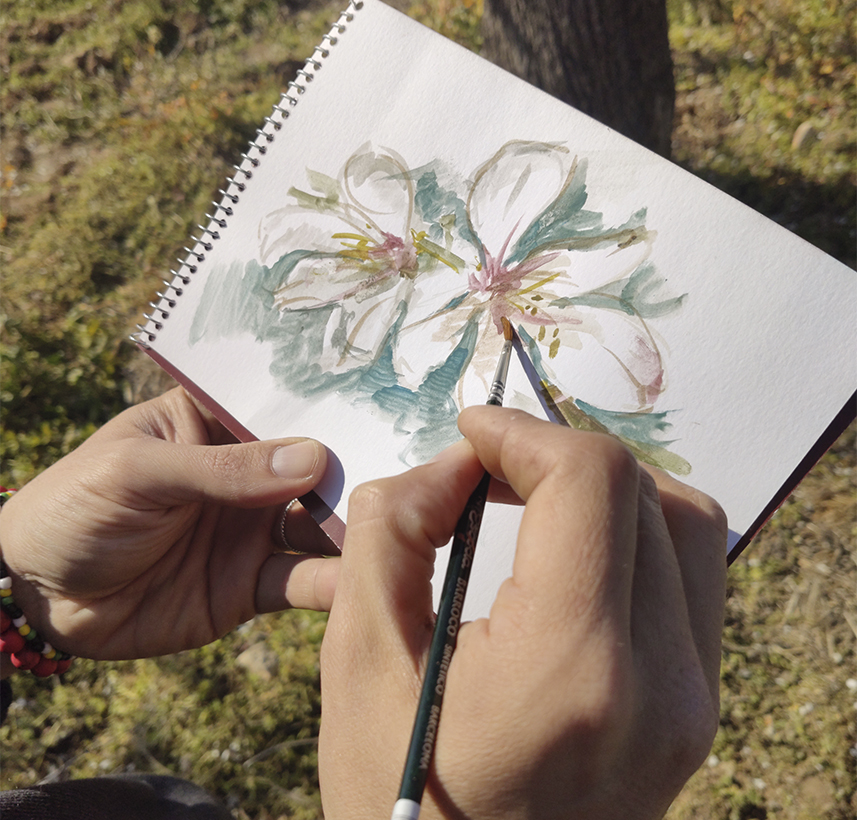 Esboç de flor d'ametller de Miquel Àngel herrero.