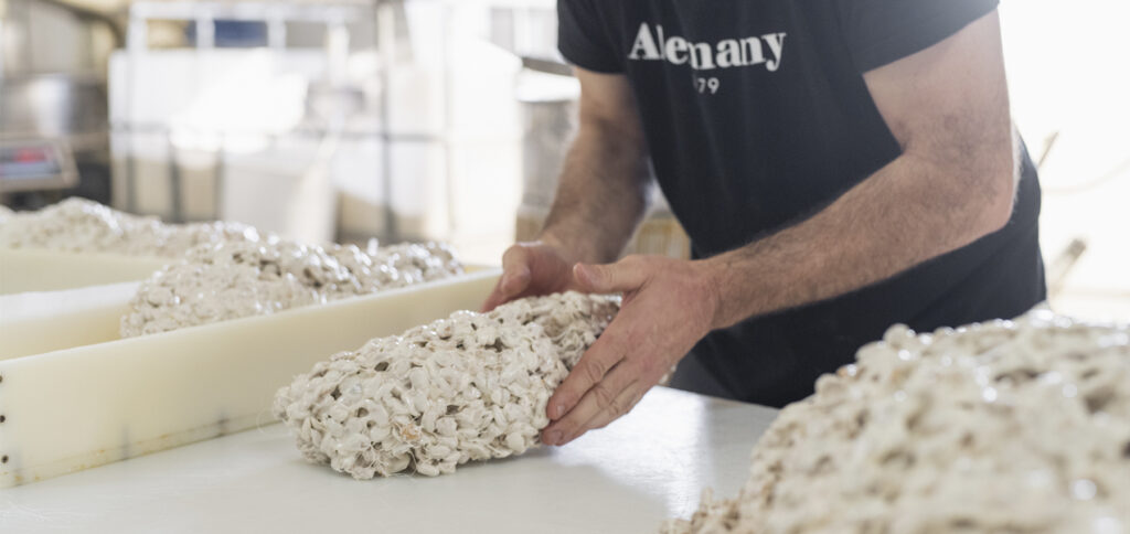 Elaboració artesanal torró dur o torró d'Alacant